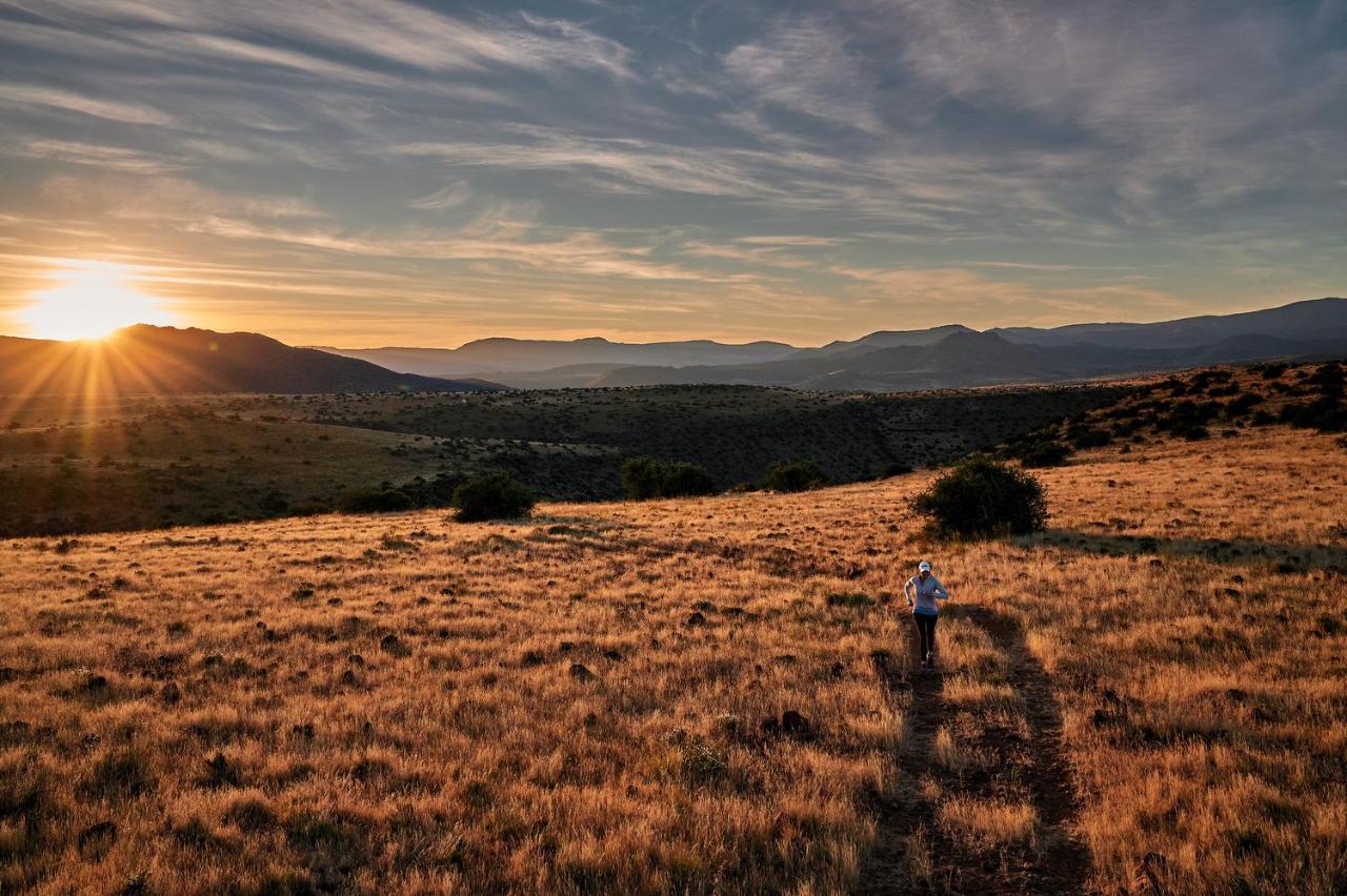 Glen Harry Game Reserve Graaff-Reinet Dış mekan fotoğraf