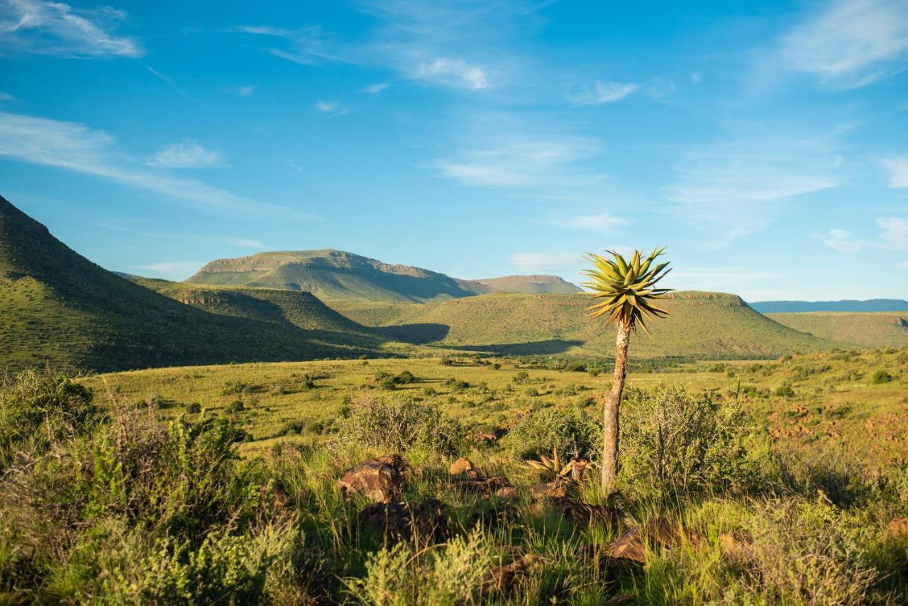 Glen Harry Game Reserve Graaff-Reinet Dış mekan fotoğraf