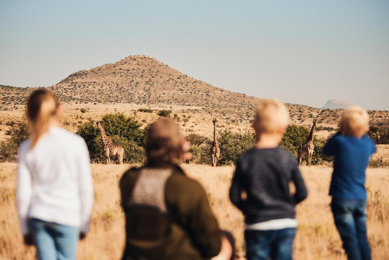 Glen Harry Game Reserve Graaff-Reinet Dış mekan fotoğraf