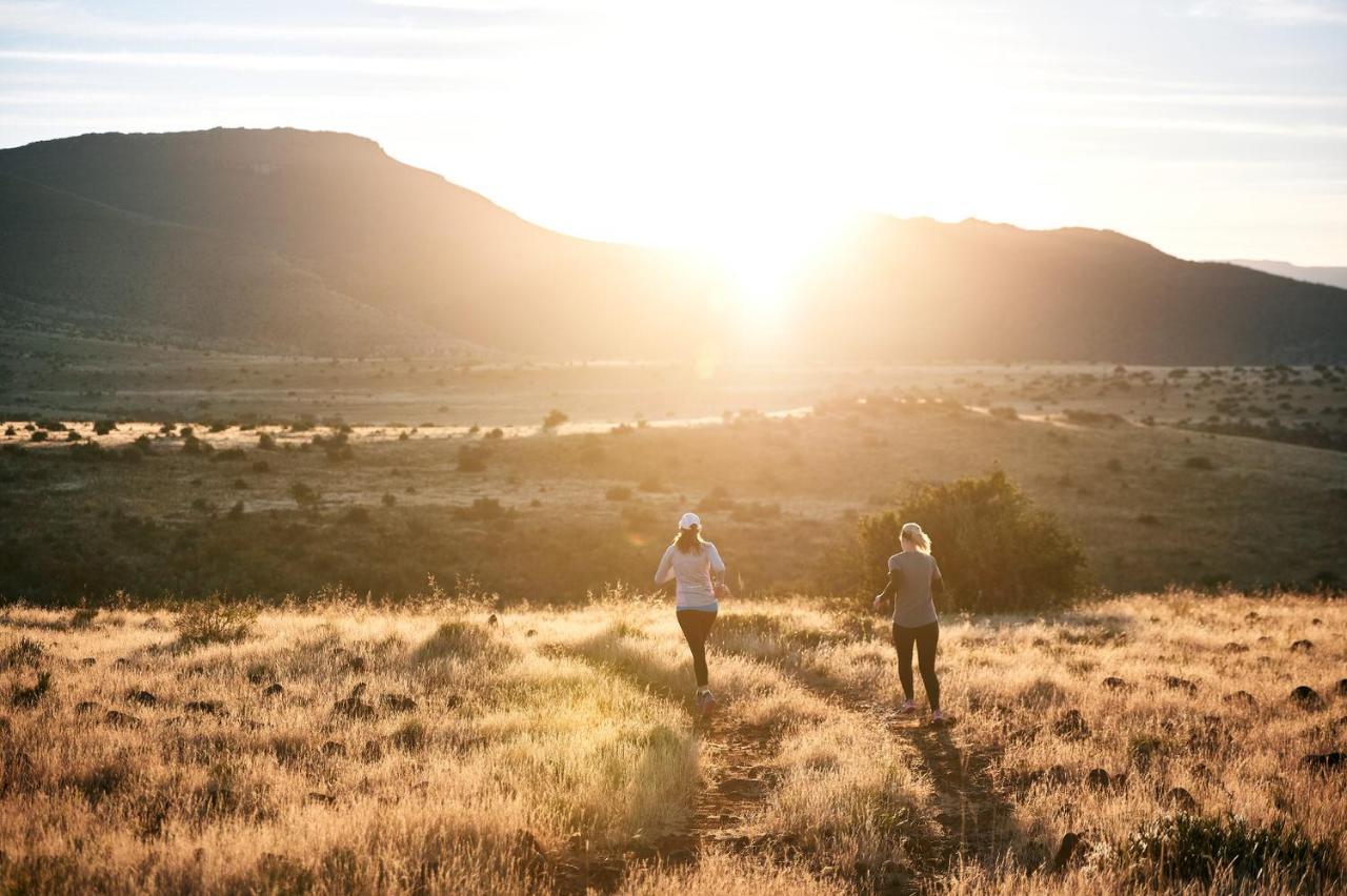 Glen Harry Game Reserve Graaff-Reinet Dış mekan fotoğraf