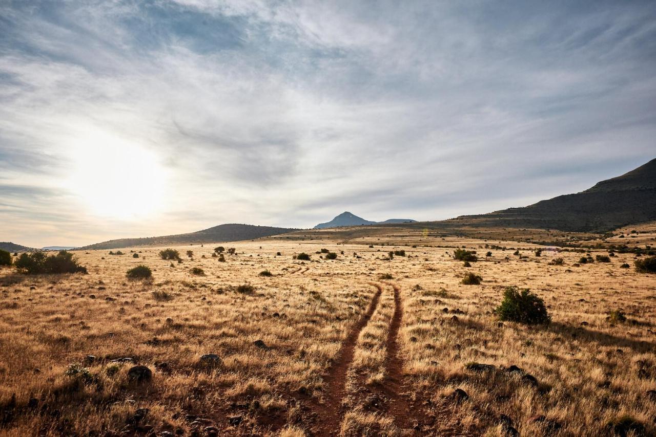 Glen Harry Game Reserve Graaff-Reinet Dış mekan fotoğraf