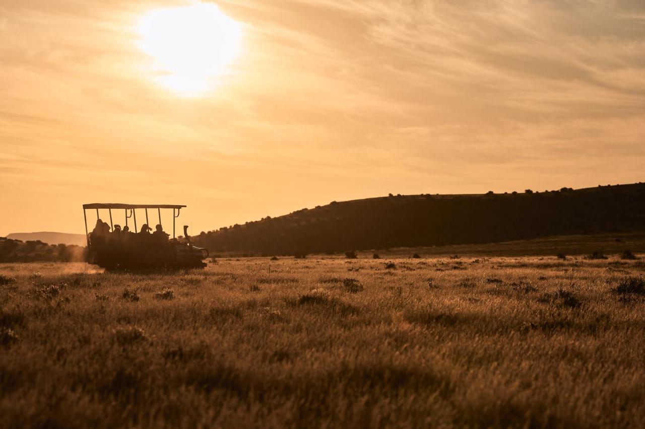 Glen Harry Game Reserve Graaff-Reinet Dış mekan fotoğraf